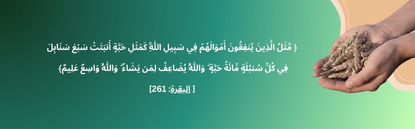 جمعية التنمية الأهلية بعوالي المدينة المنورة 